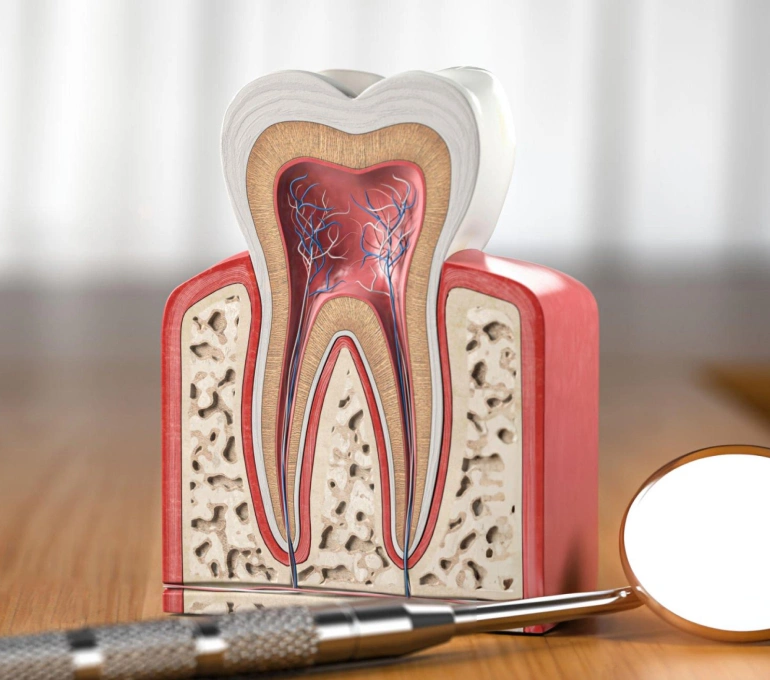 highly and effective procedure root canal surgery in chicago il